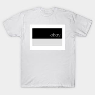 Colorblock Okay T-Shirt